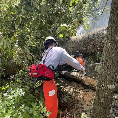 kanen blackwell cutting tree usar deployment